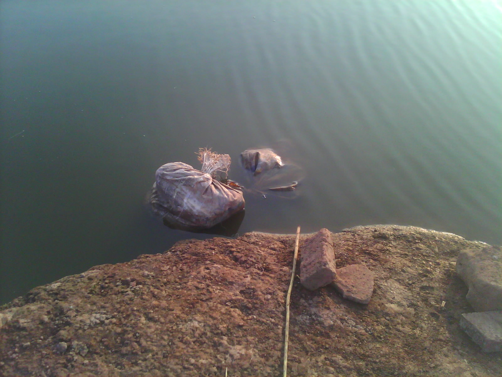 IMG0640B.jpg