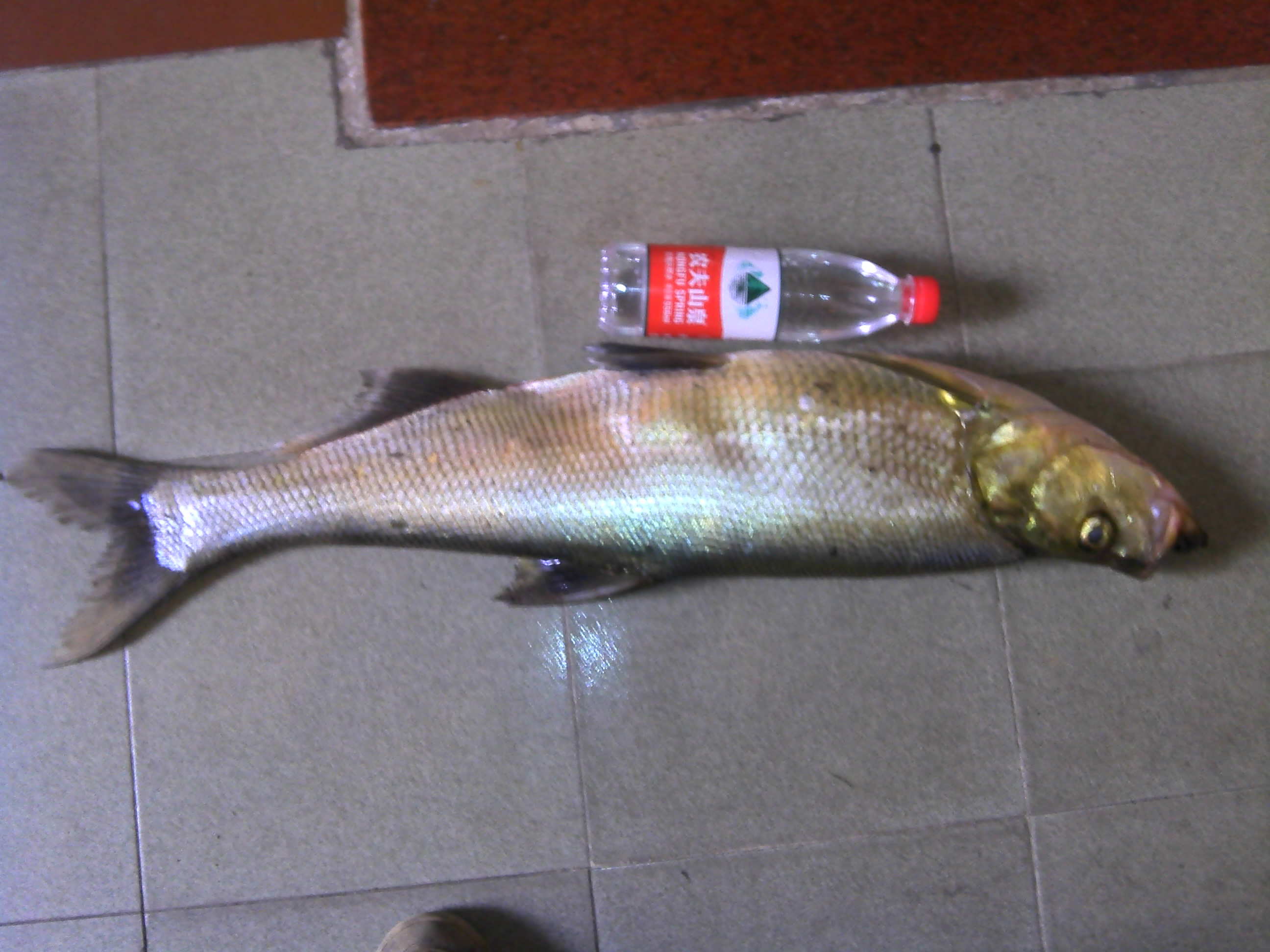 IMG00097.jpg