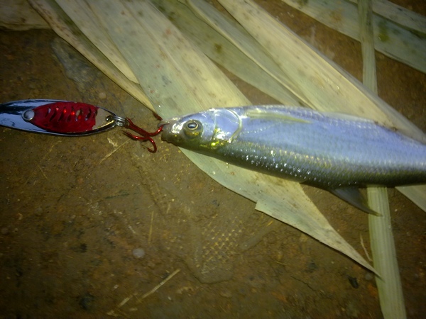 20111002041.jpg