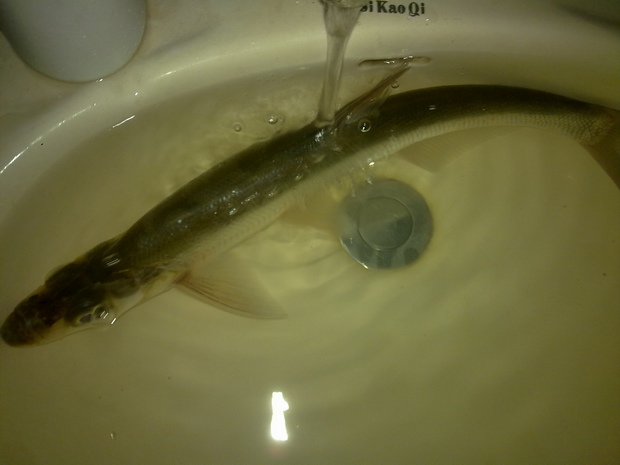 20111002048.jpg