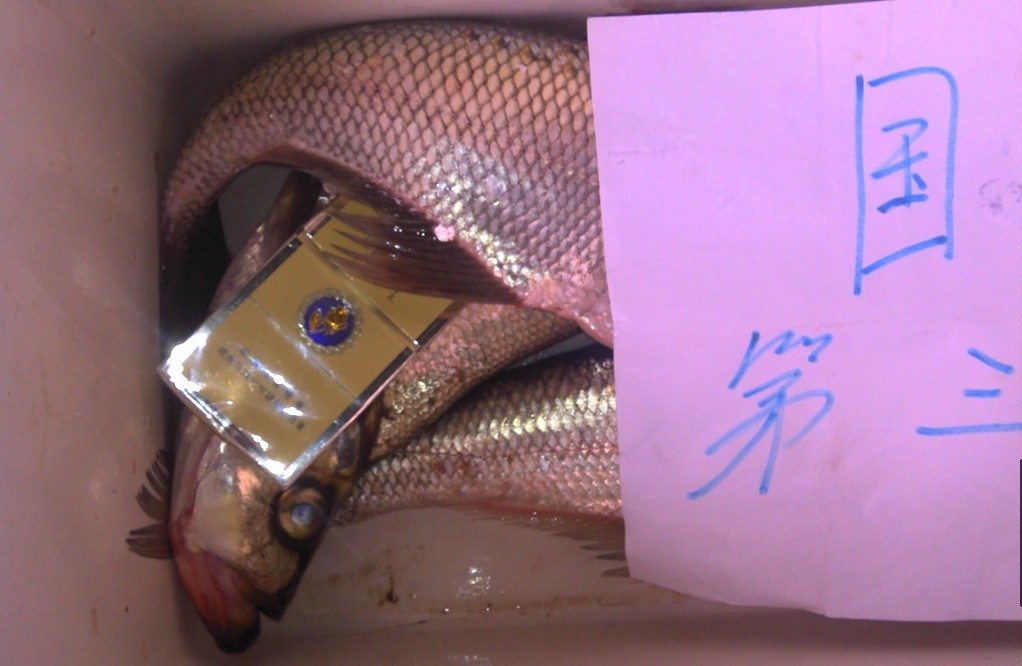 121.jpg