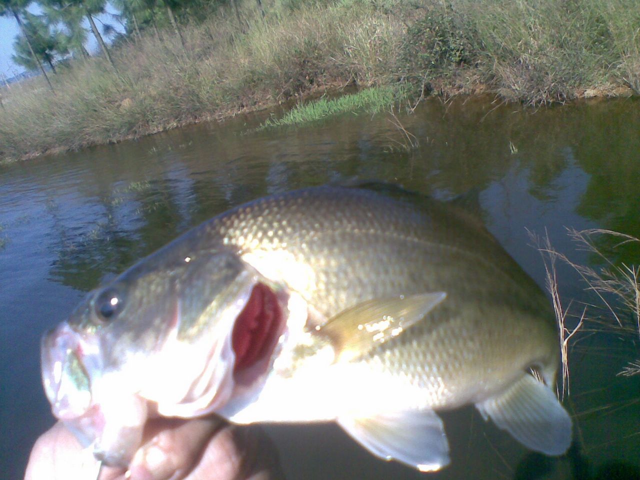20111004(001).jpg