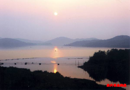Img256530633_.jpg