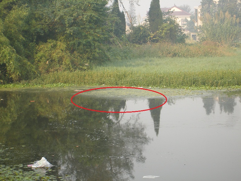 DSCF0137.JPG