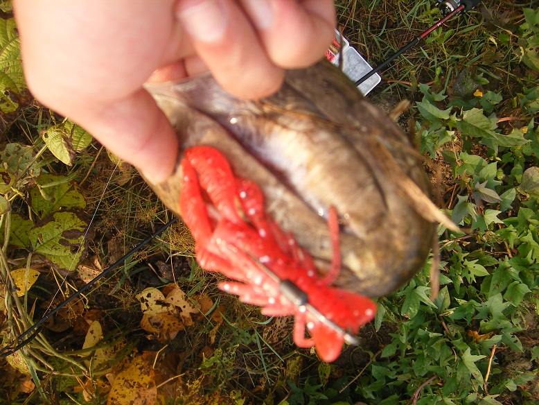 DSCF0129.JPG