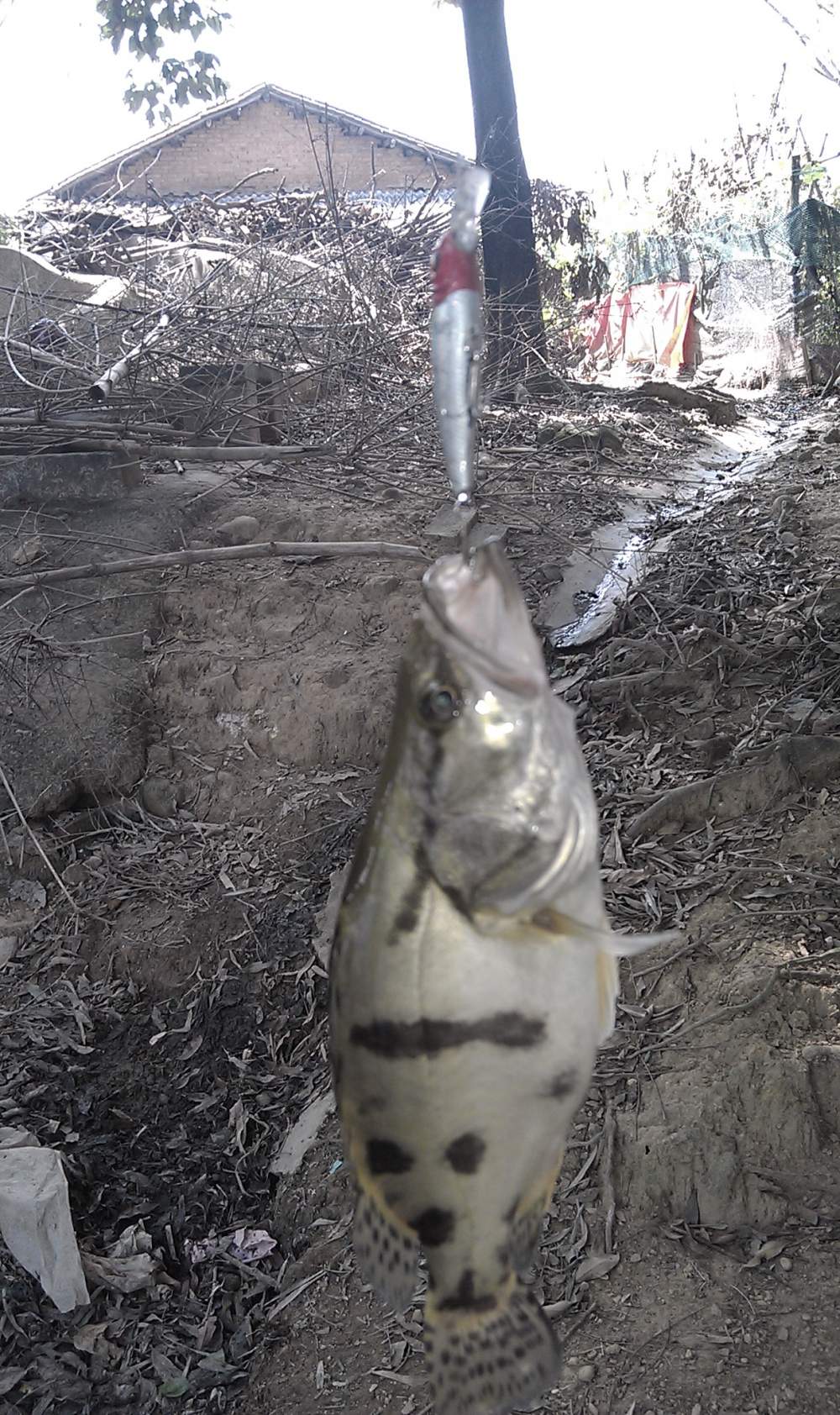 imag0294.jpg