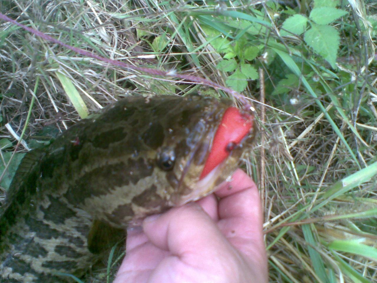 20111010(003).jpg