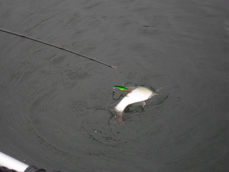 23.JPG