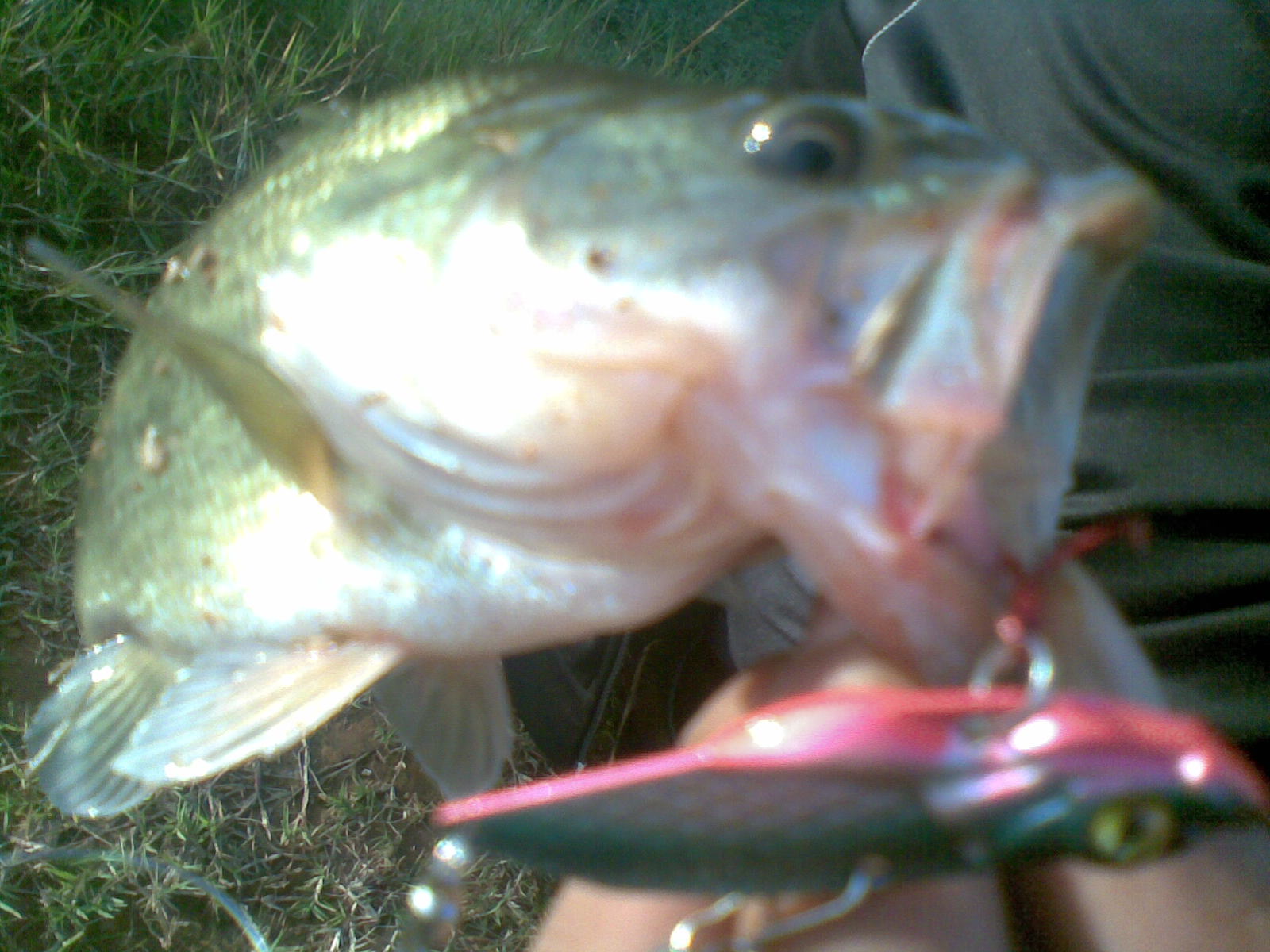 20111015(008).jpg