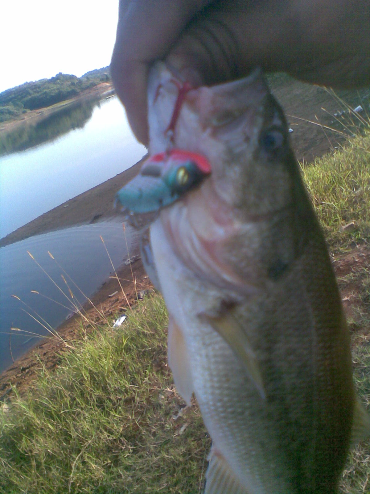 20111015(011).jpg