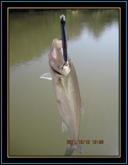 IMG_5354.JPG
