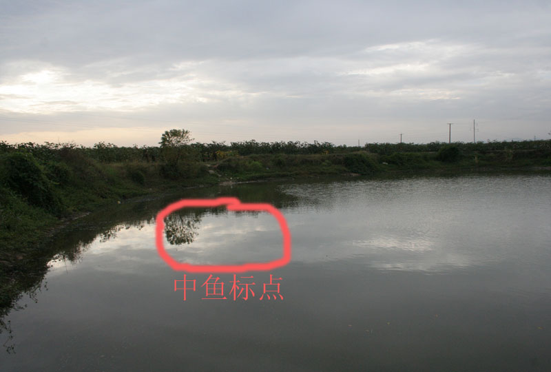 ı.jpg