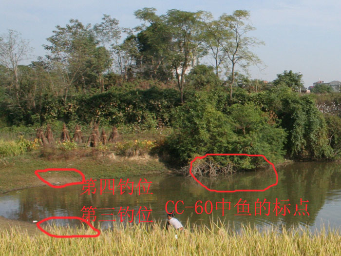 CC-60㸱.jpg