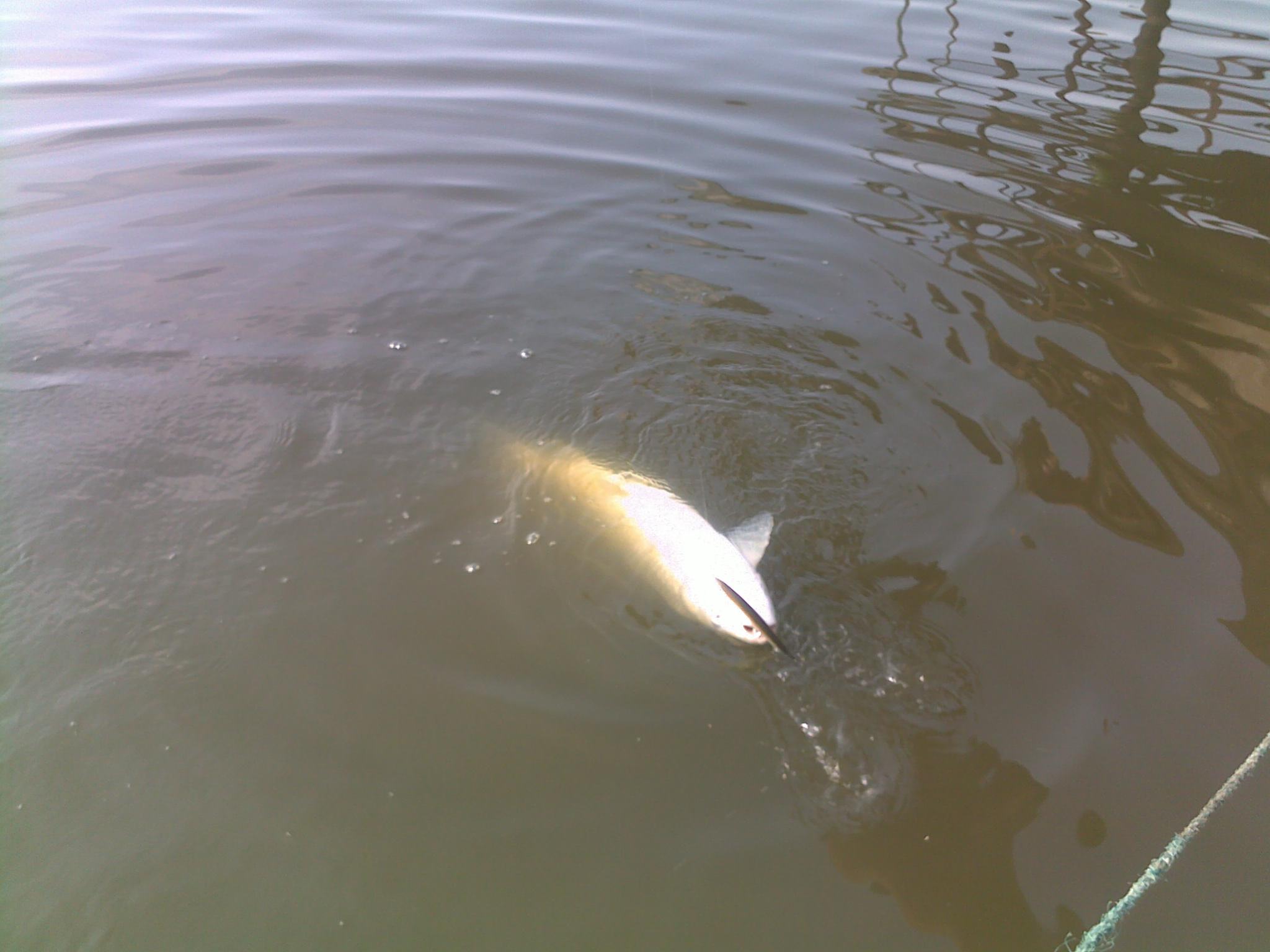 20111022045.jpg