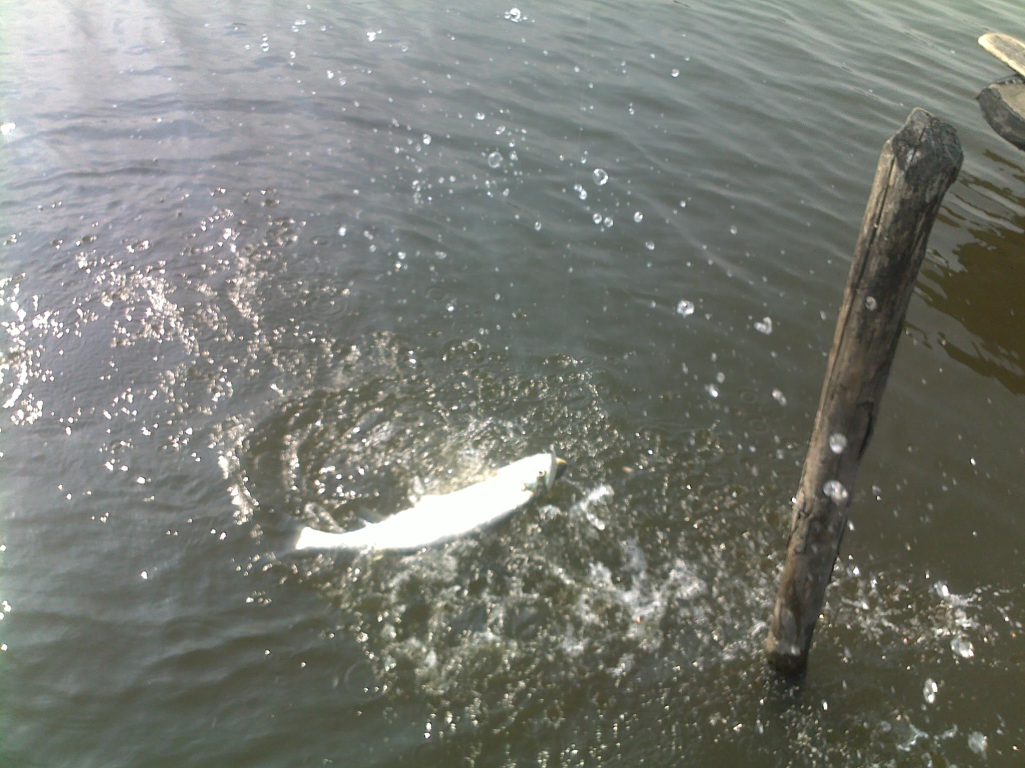20111022043.jpg