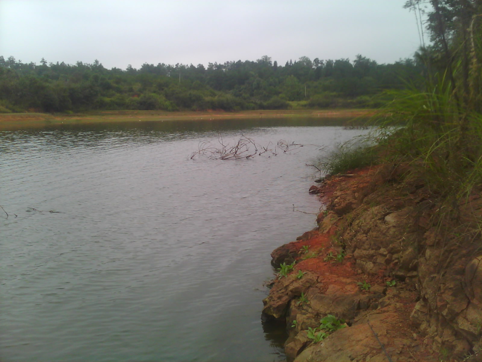 IMG0732B.jpg