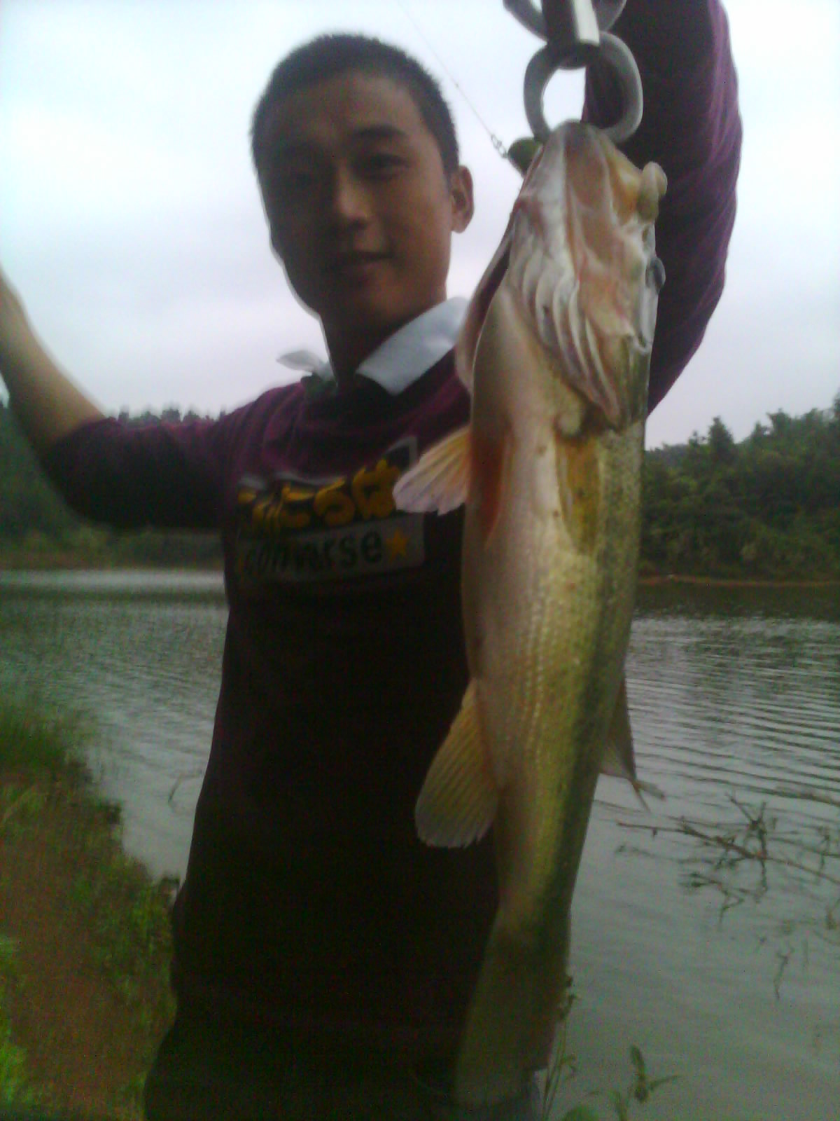 IMG0731B.jpg