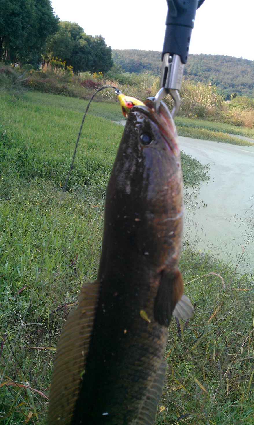 IMAG0309.jpg