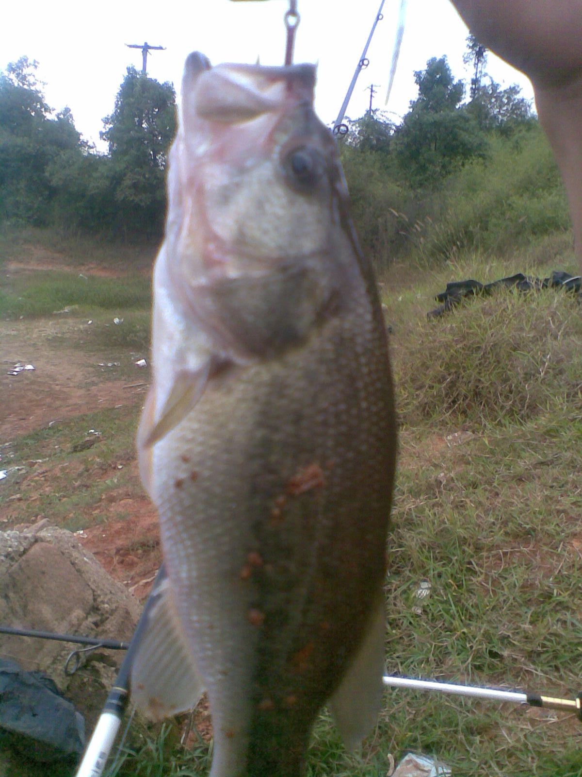 20111016(002).jpg