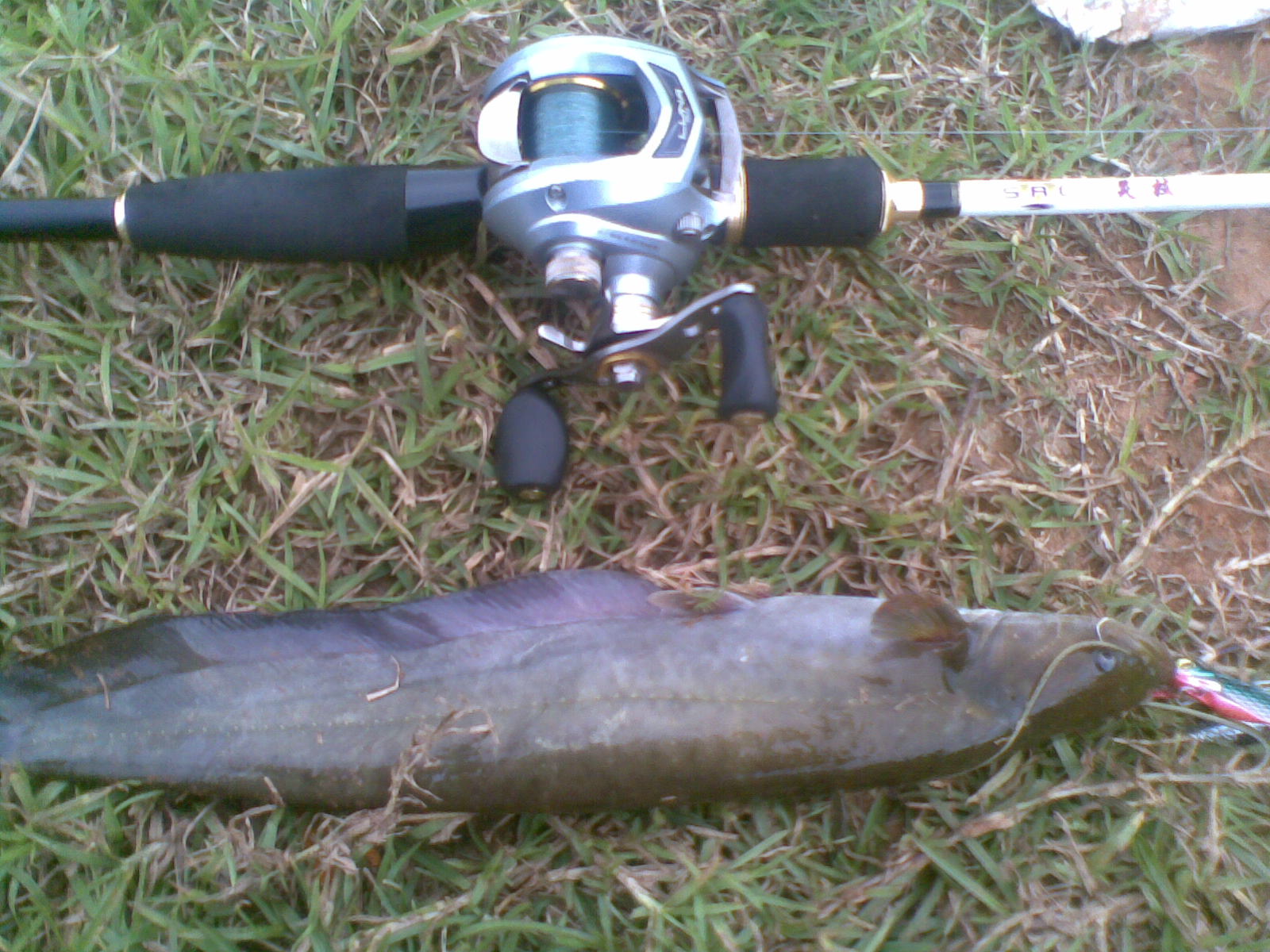 20111016(004).jpg