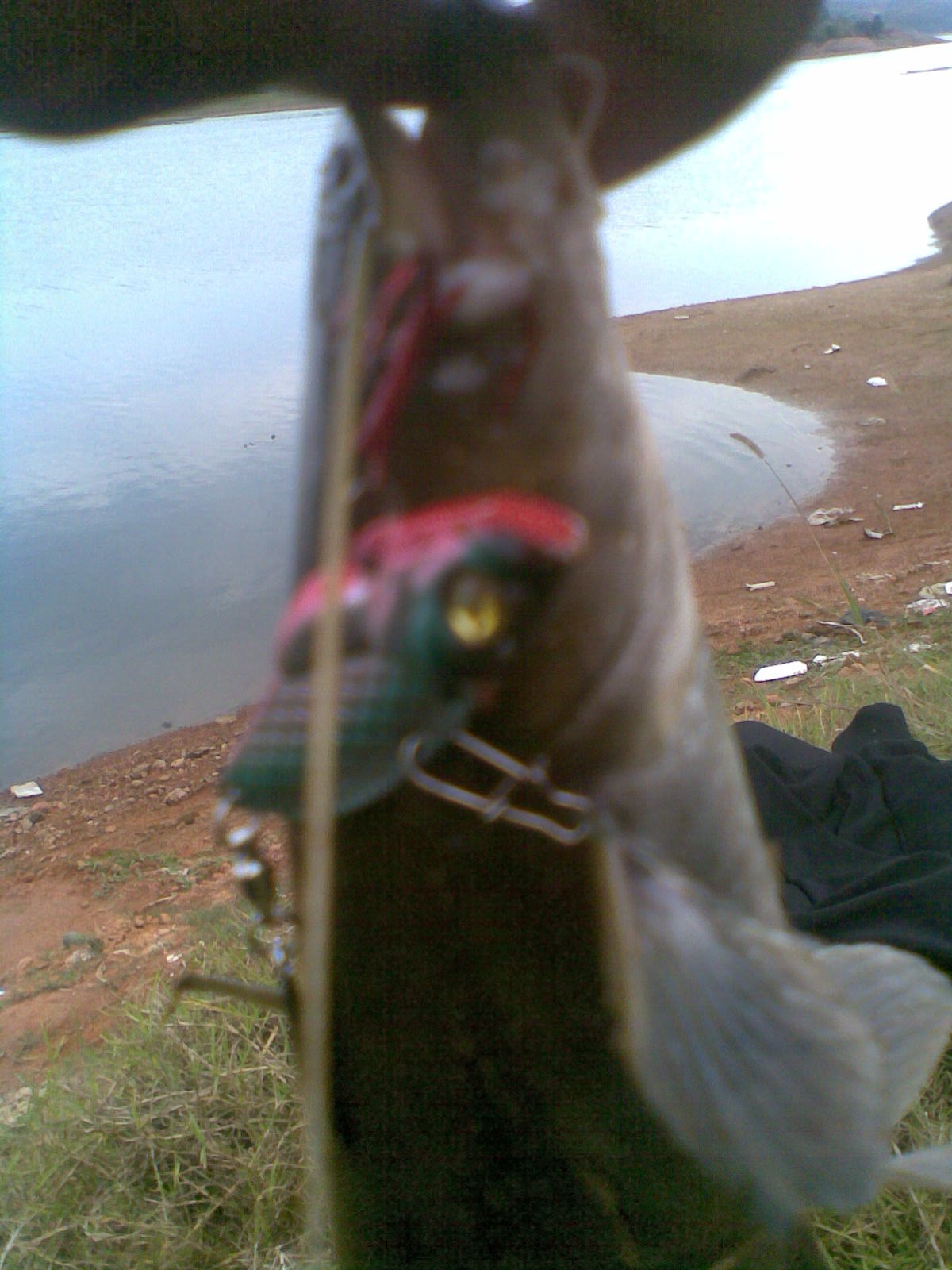 20111016(005).jpg