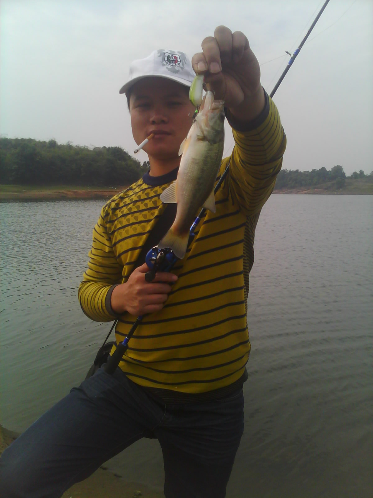 IMG0691A.jpg