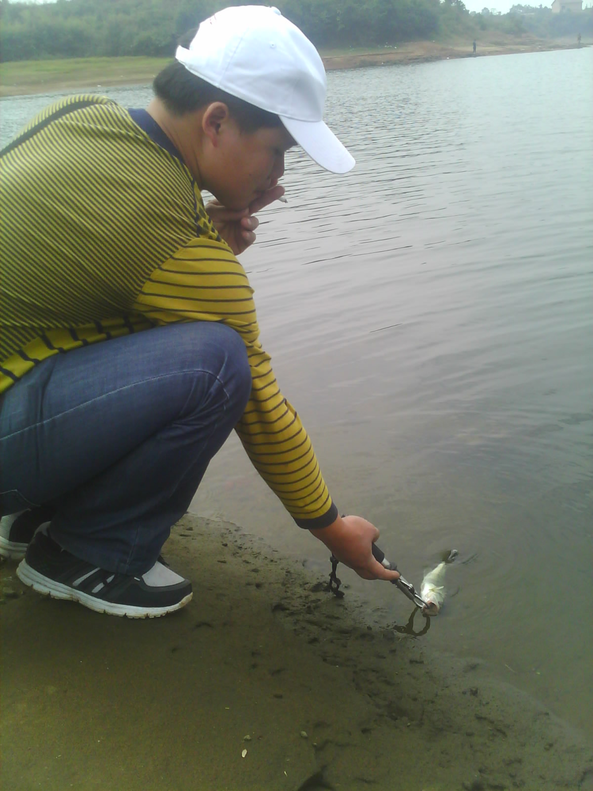 IMG0692B.jpg