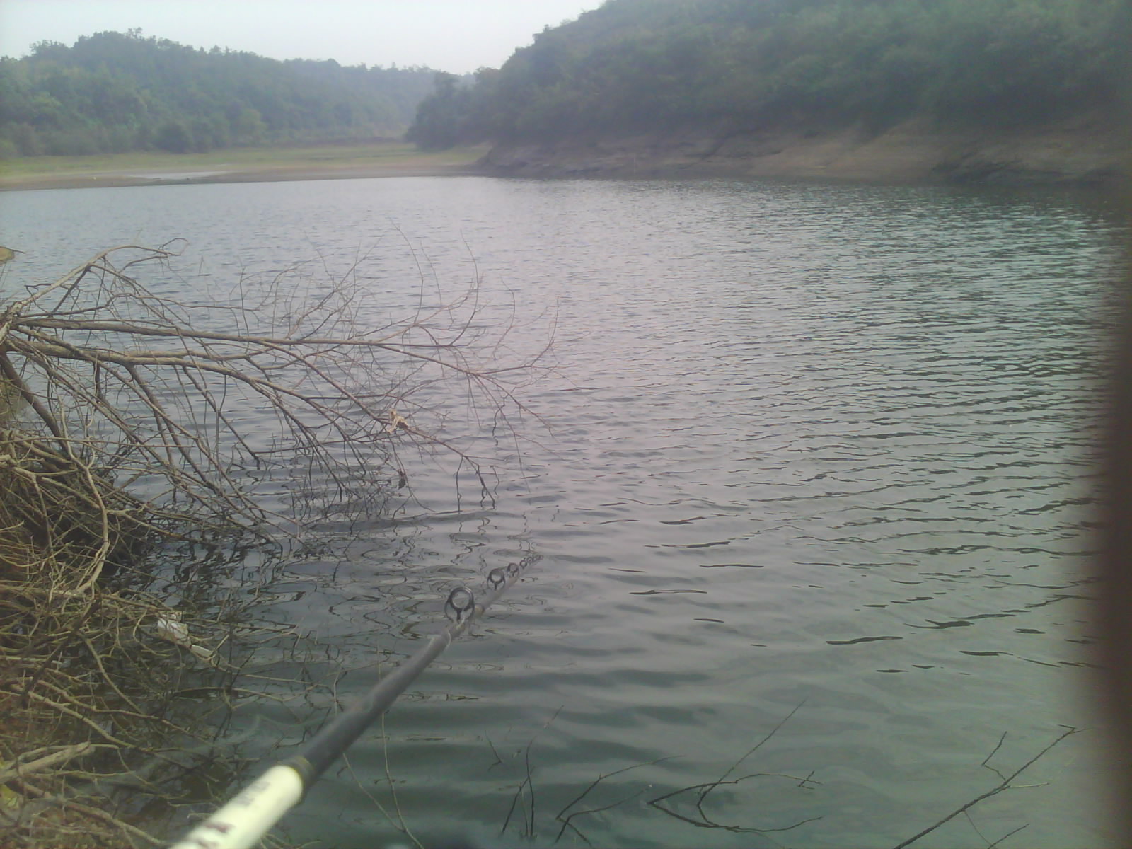 IMG0699B.jpg