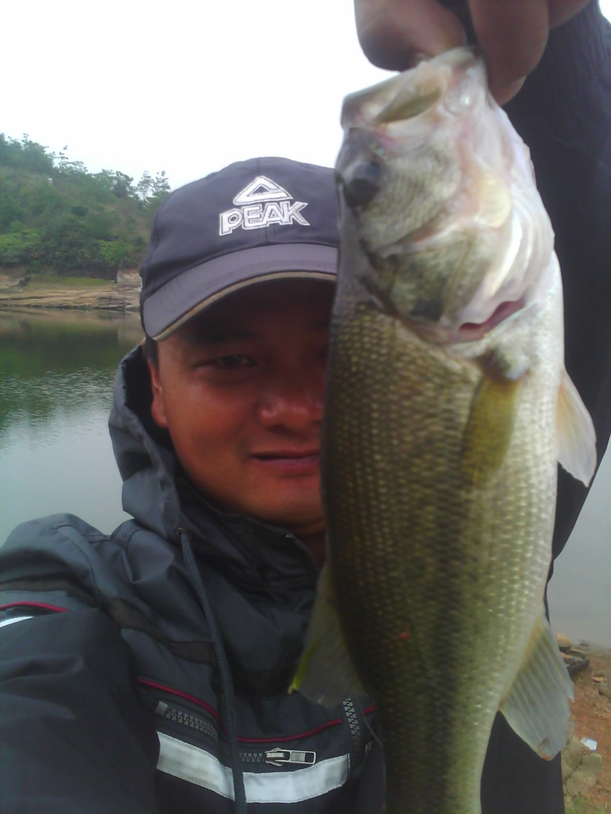 IMG0702B.jpg