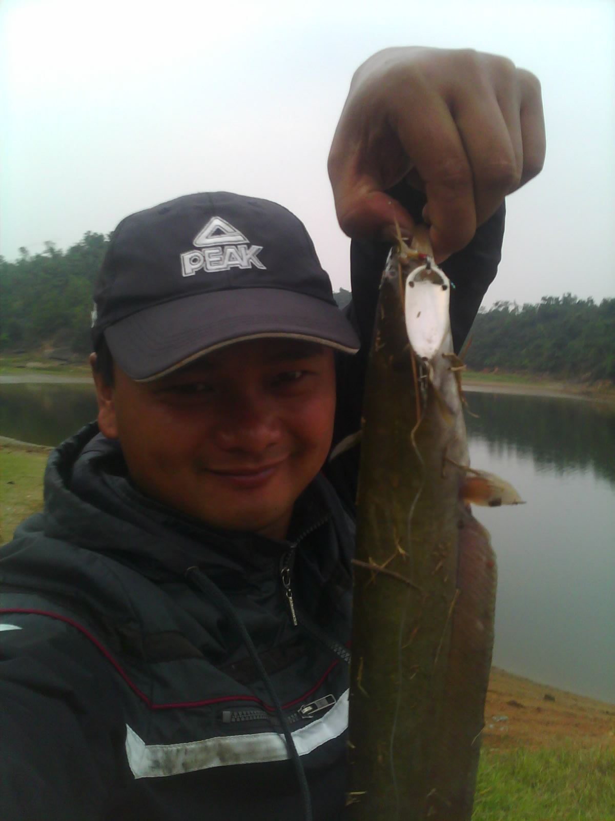 IMG0707B.jpg