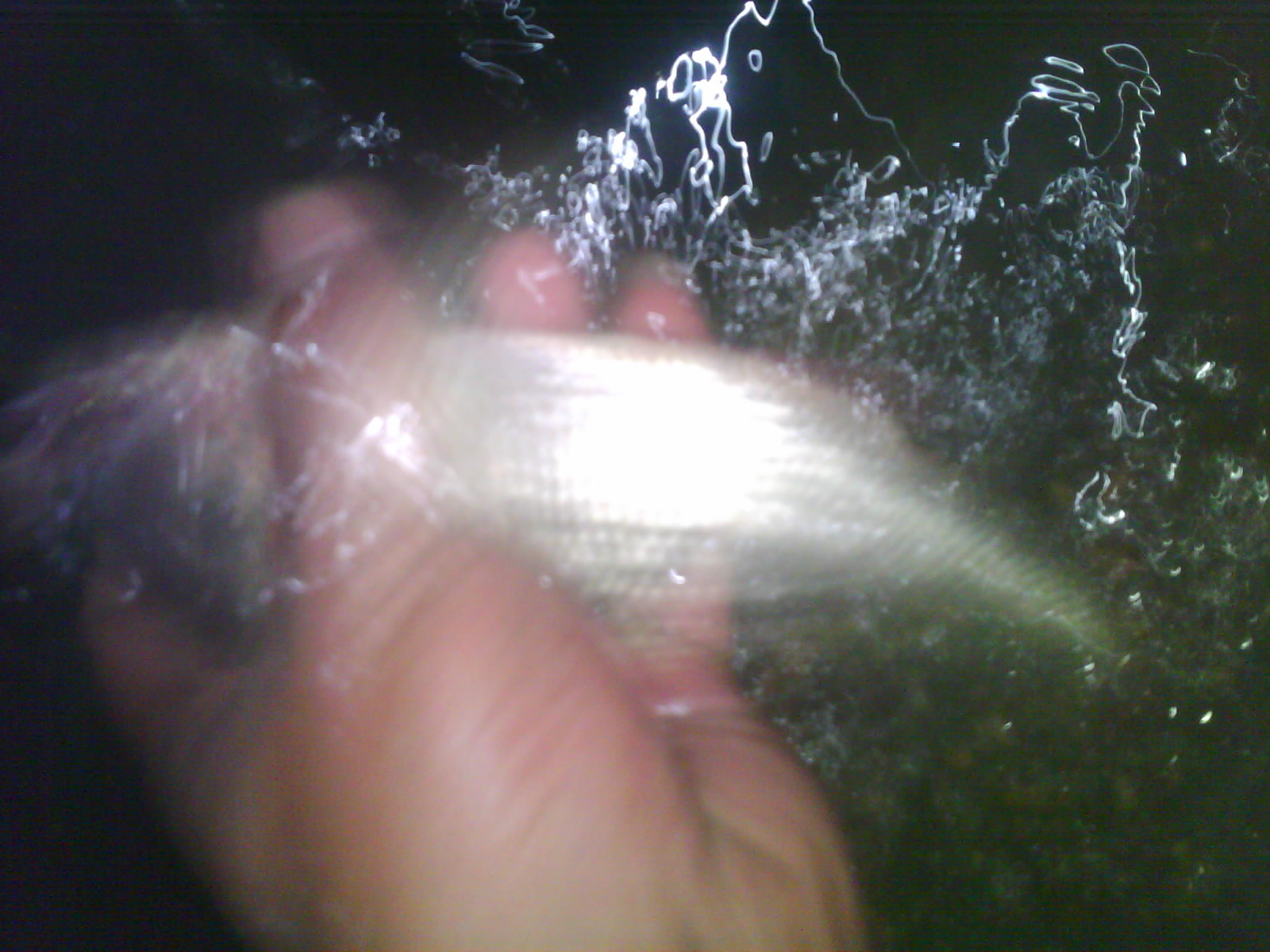 IMG0715B.jpg