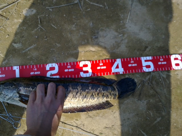 20111030263.jpg