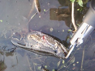 IMG00052.jpg