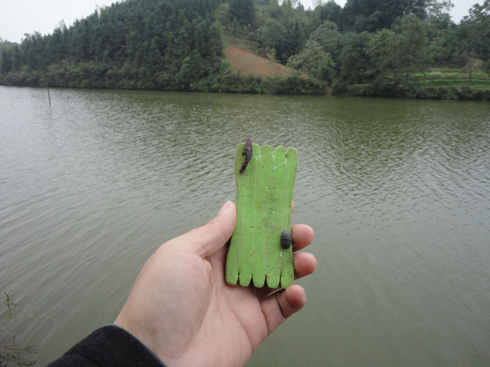 DõĴõˮʵս.jpg