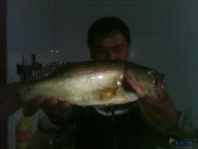 IMG0764A.jpg