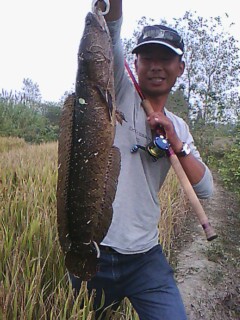 IMG00060.jpg