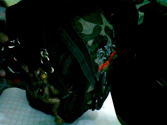 ͼƬ 078.jpg