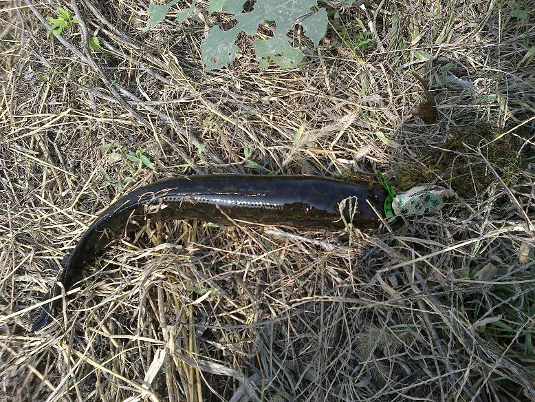 20111103598.jpg