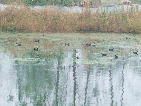 DSCF2064_.jpg