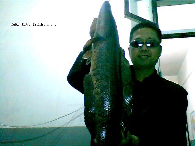 ͼƬ 051.jpg