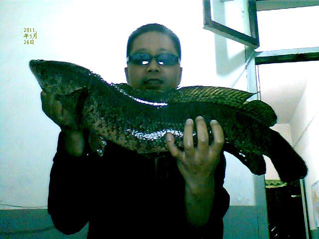 ͼƬ 050.jpg
