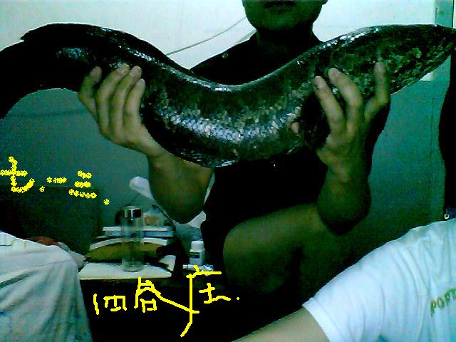 ͼƬ 065.jpg