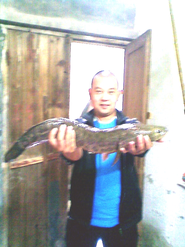 0753535qaqaij0qqaww61v.jpg