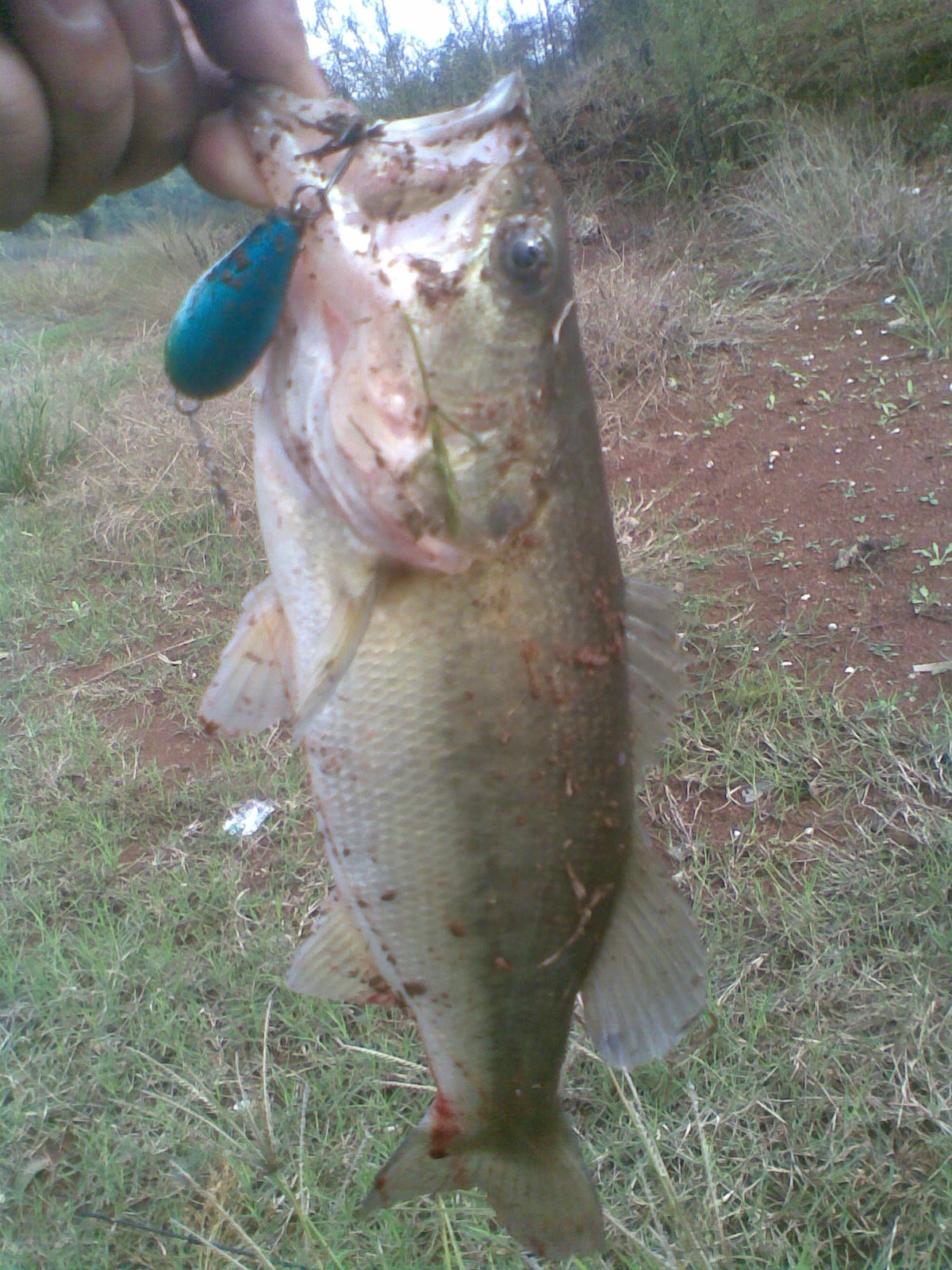 20111110(007).jpg