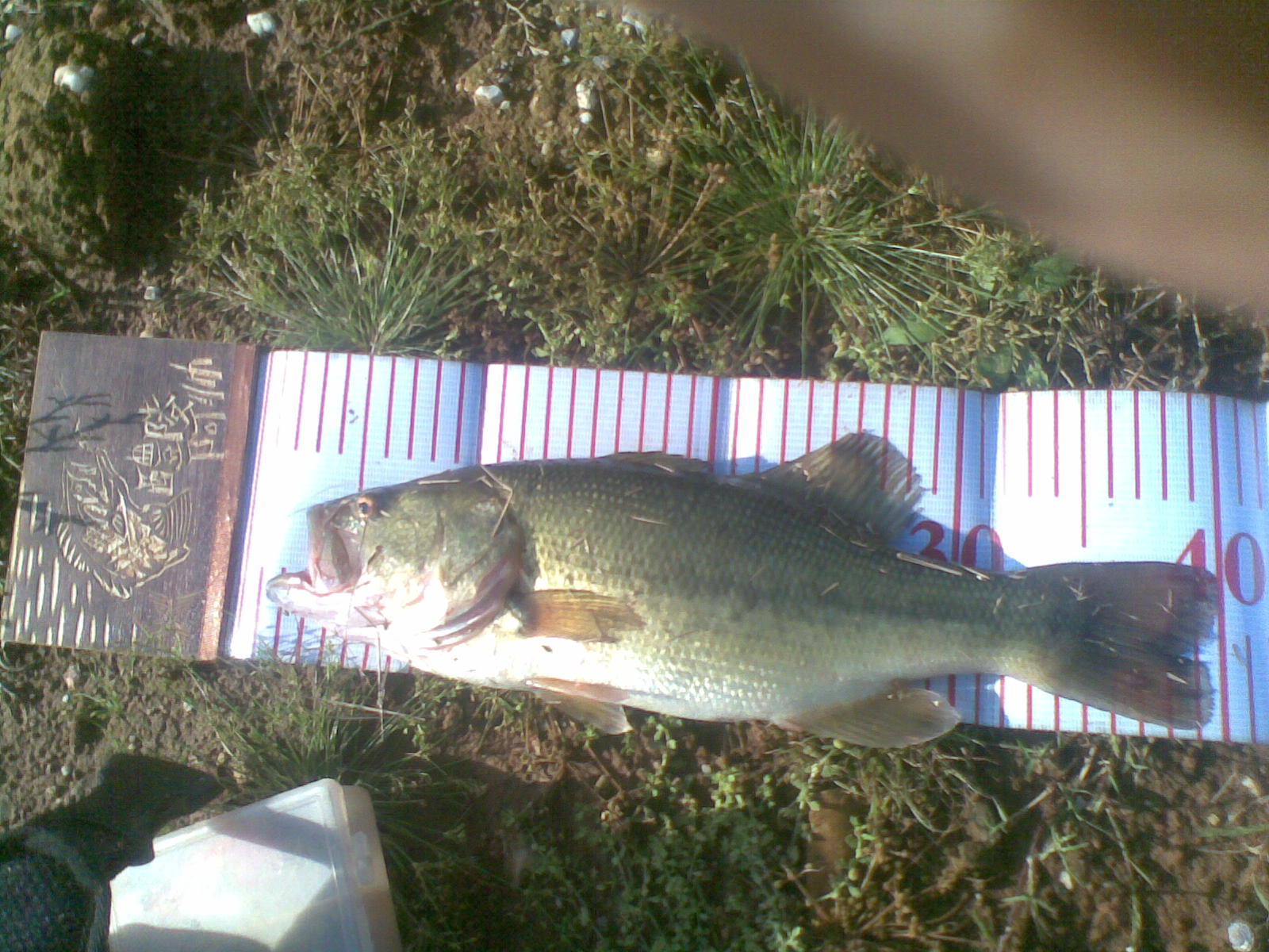 20111111(002).jpg