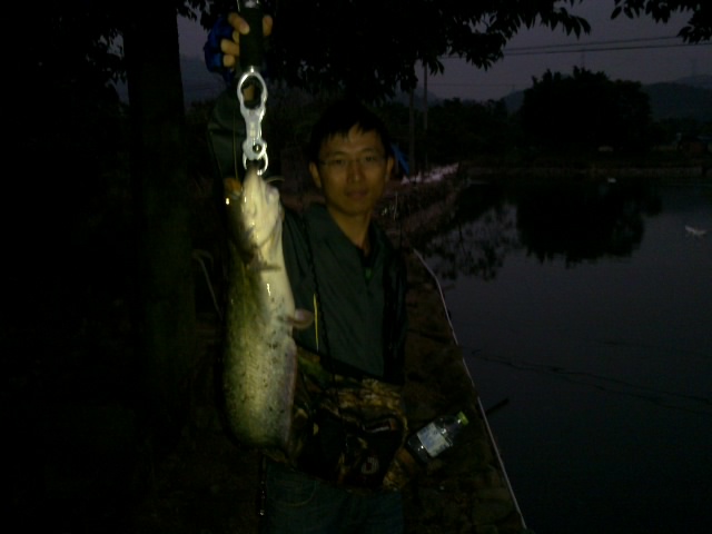 20111112320.jpg