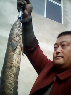 IMG0063A.jpg