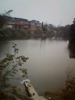 IMG0069A.jpg