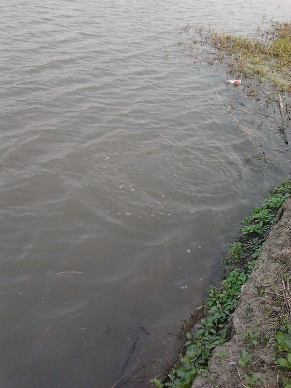 2011-11-14 15.58.05.jpg