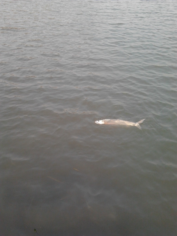 2011-11-14 15.58.23.jpg
